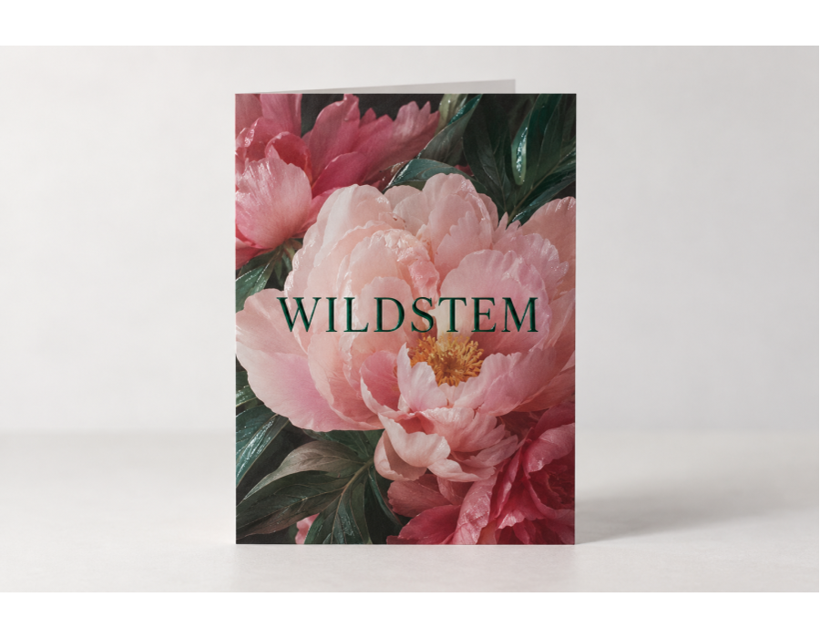 Suede Greeting Cards with original sample artwork